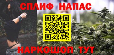 бошки Дубна