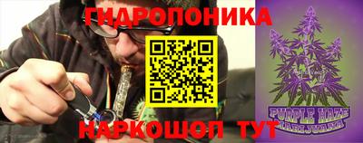 ПСИЛОЦИБИНОВЫЕ ГРИБЫ Заводоуковск