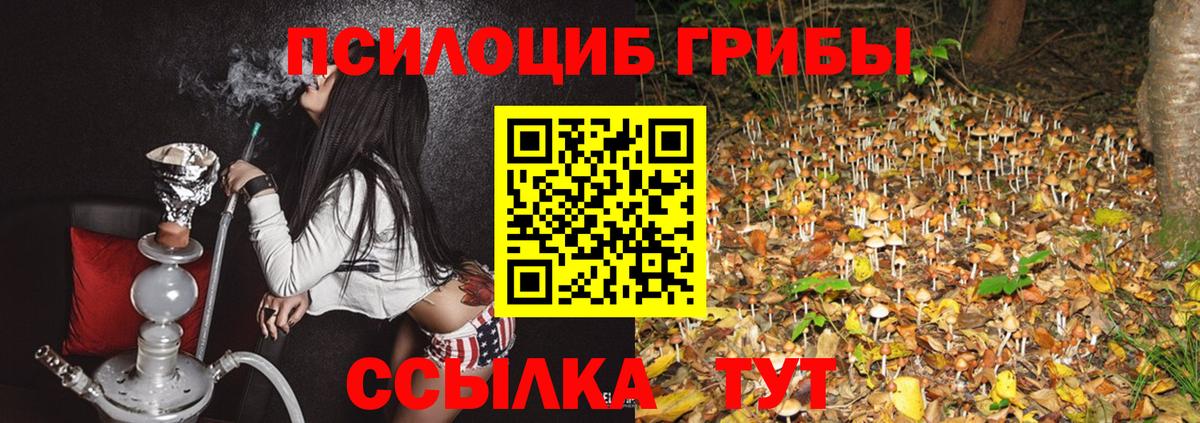 Мыски  сколько стоит  Вход с VPN  Псилоцибиновые грибы ЛСД 